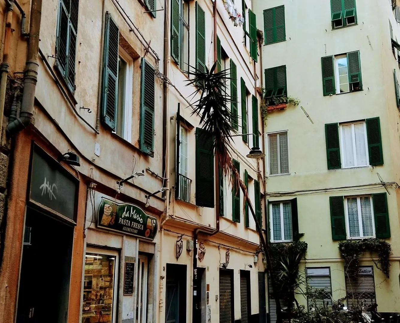 Casa Cannoni Genoa